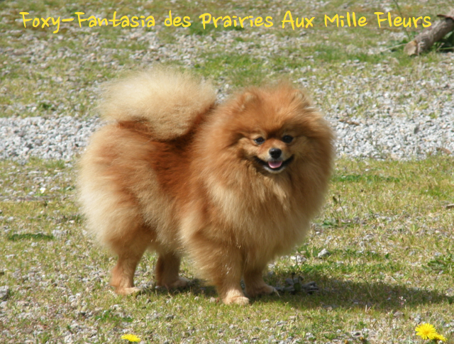 Fanfan 3 ans